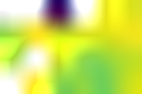 yield_2021 preview